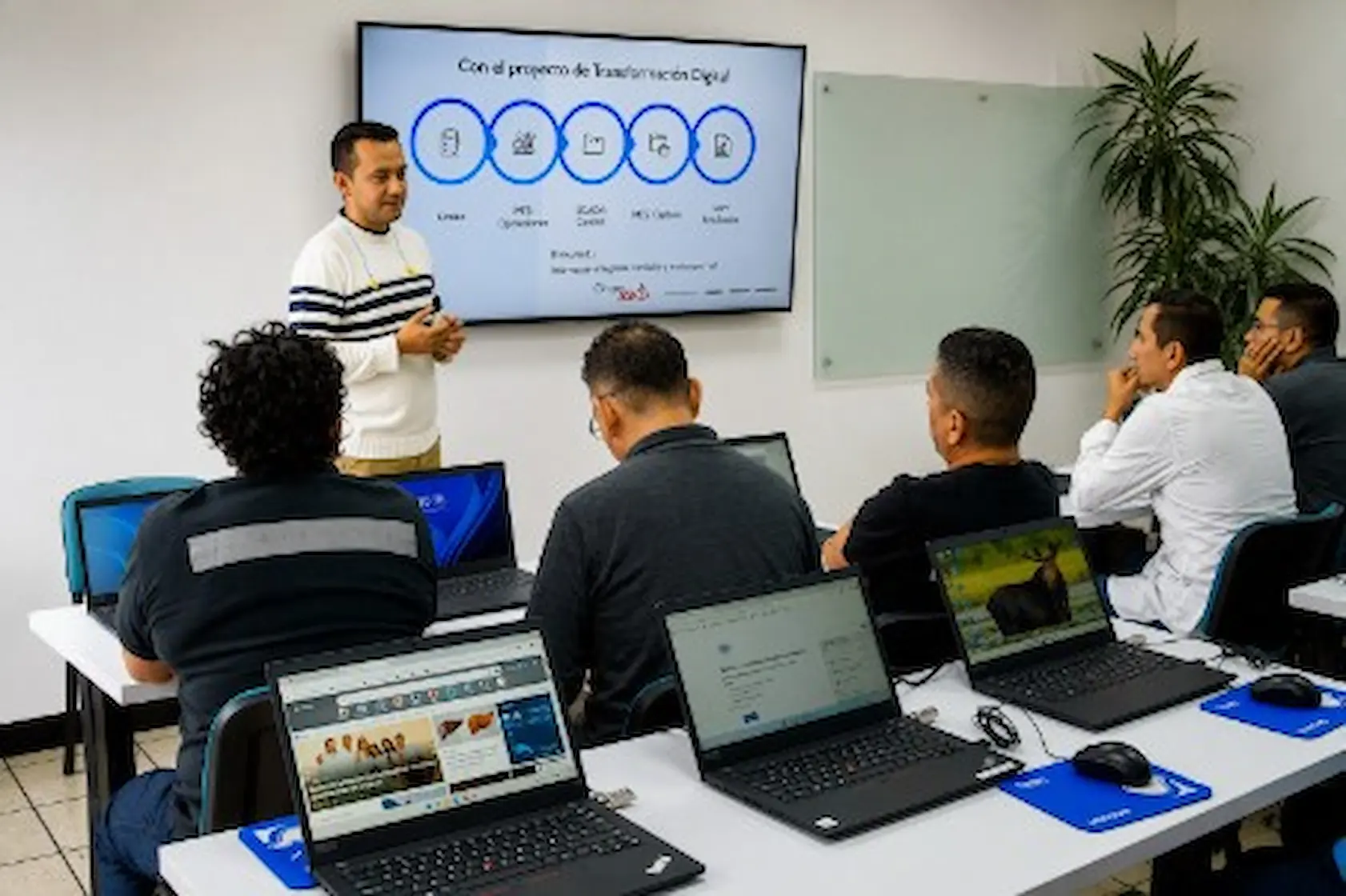 Desarrollo y formación